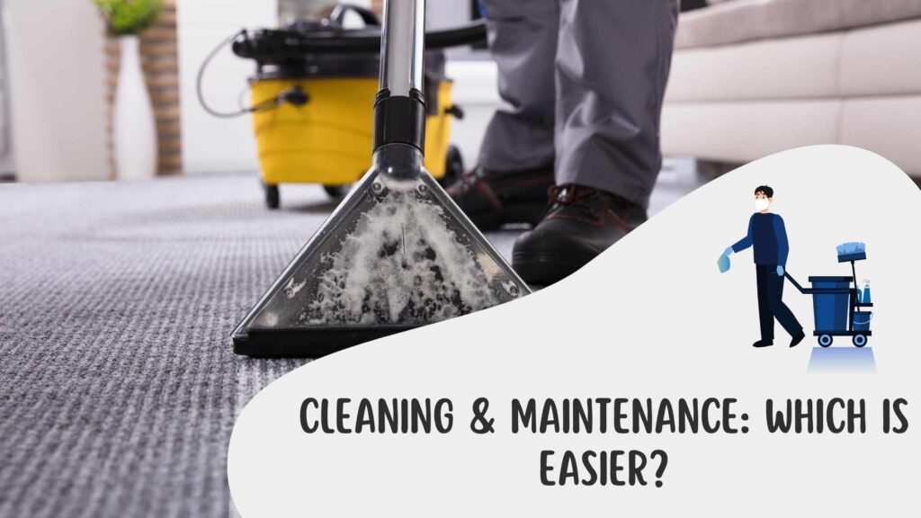 Cleaning & Maintenance